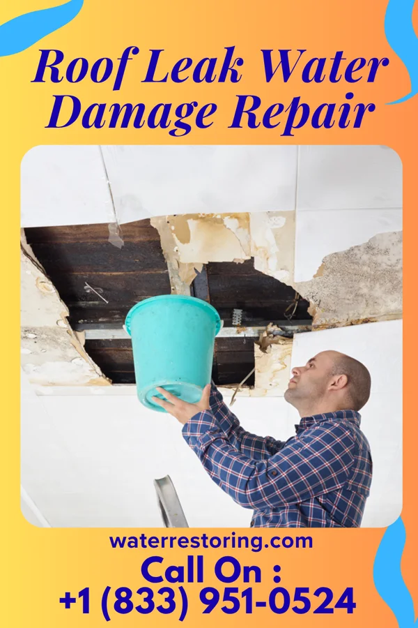 Roof Leak Water Damage Repair in Southern Pines, NC