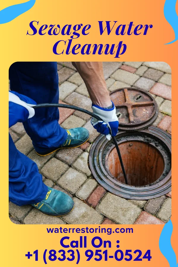 Sewage Water Cleanup in Southern Pines, NC